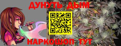 мдпв Бийск