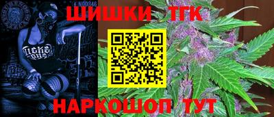 мдпв Бийск