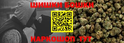 мдпв Бийск