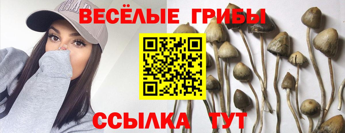Каннабис Ижевск